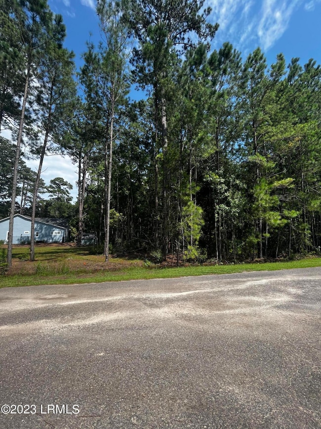 Homesite for Future home
