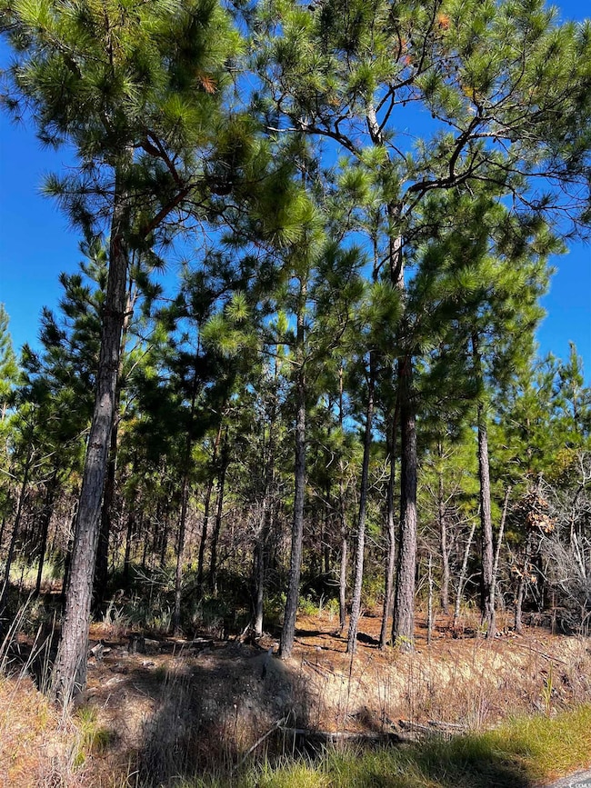 1677 Cockfield Rd unit LOT 10, Scranton, SC 29591 - photo 3