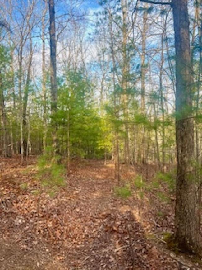 0 Maegans Dr unit LotWP001 23098892, Murphy, NC 28906 - photo 5