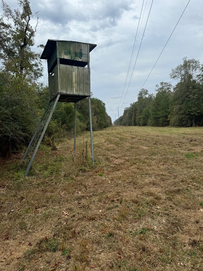 unlisted-address, Osyka, MS 39656 - photo 4