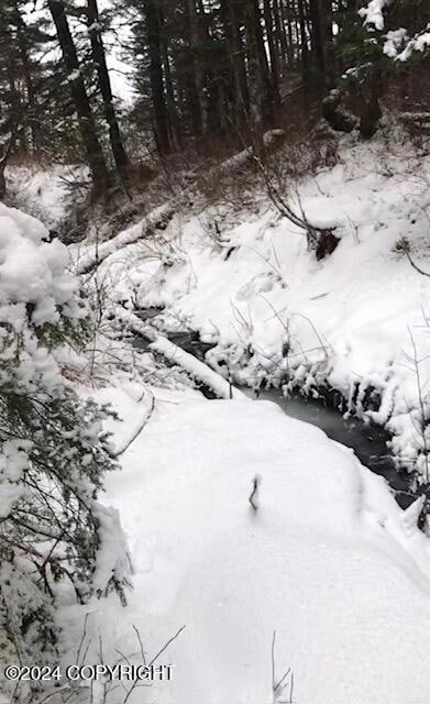 L3 B12 Shotgun Cove Rd, Whittier, AK 99693 - photo 4