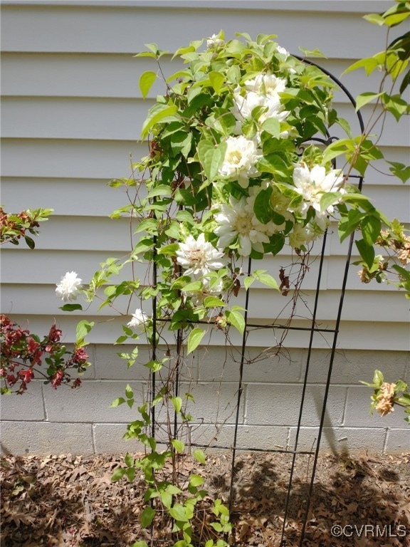 5801 Collins Run Pkwy, Providence Forge, VA 23140 - photo 6