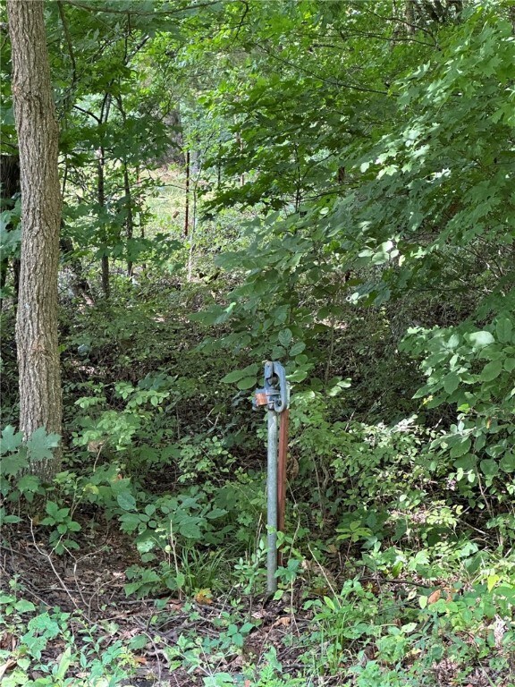 2909 Madison 4145, Elkins, AR 72727 - photo 5