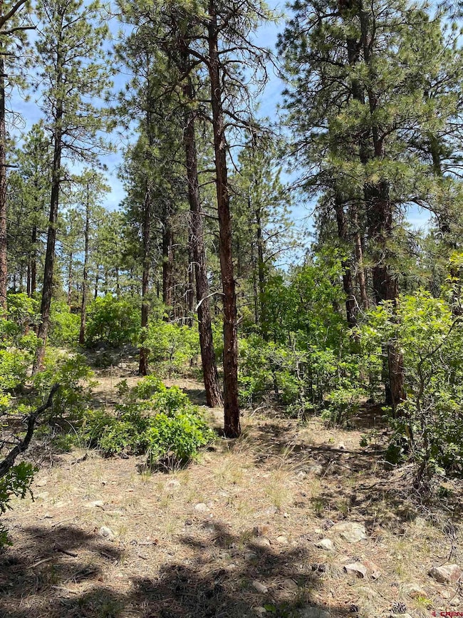 163 Boulder View Dr, Durango, CO 81301 - photo 5