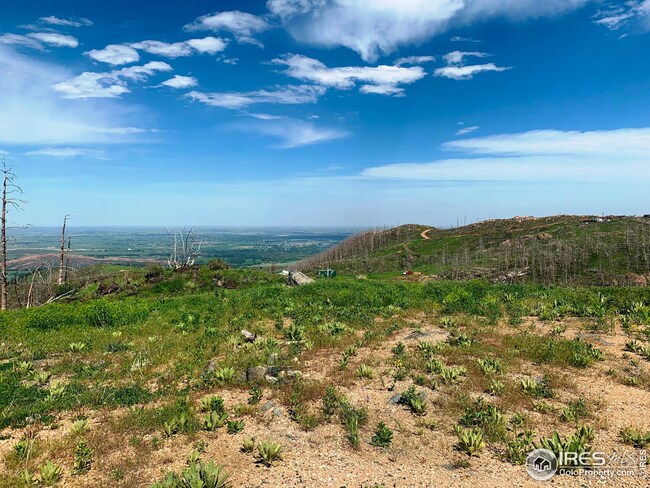 1500 Whale Rock Rd, Bellvue, CO 80512 - photo 3