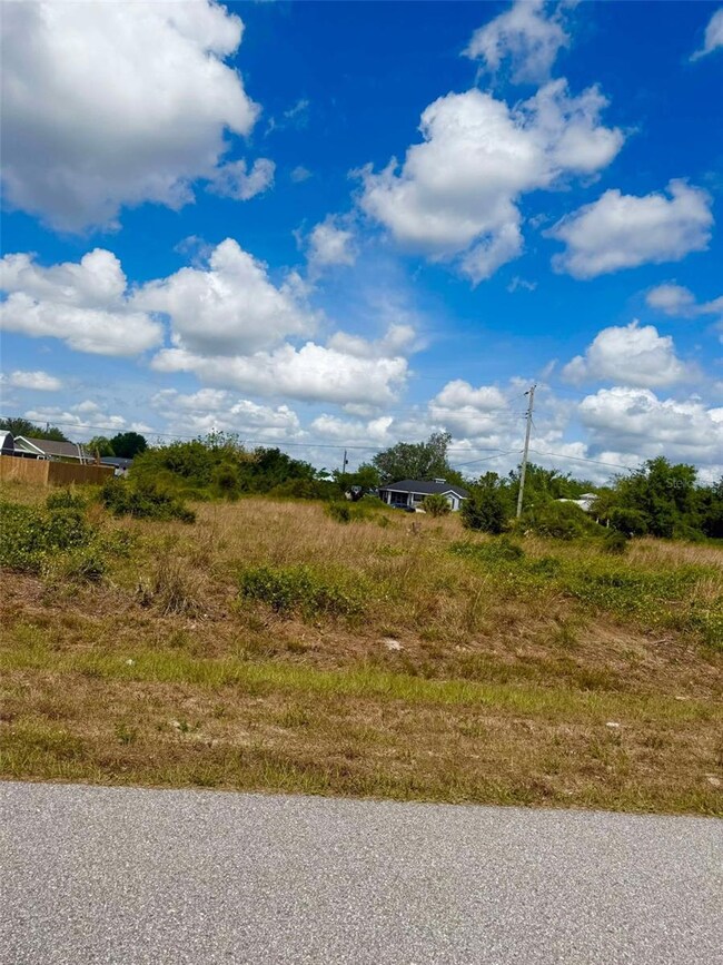 29276 Meadowlark Ln, Punta Gorda, FL 33982 - photo 4