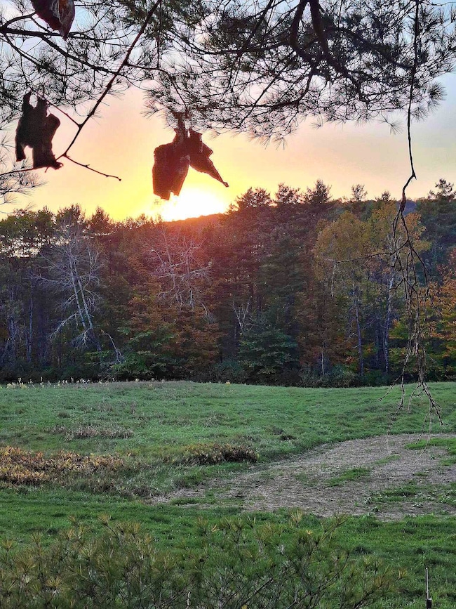 0 Brook Rd, Springfield, VT 05156 - photo 2