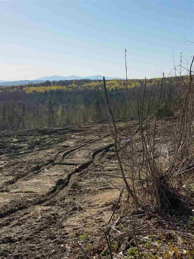 000 Long Hill Rd, Concord, VT 05824 - photo 4