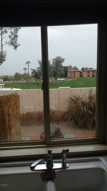 View from kitchen window