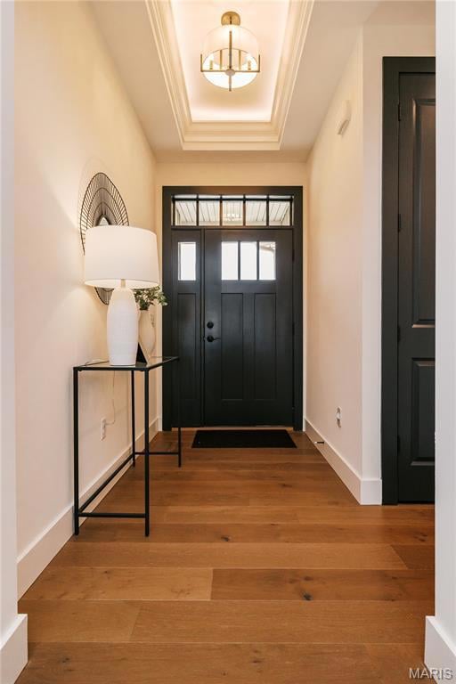 Entrance foyer featuring a tray ceiling, light wood-type flooring, and ornamental molding