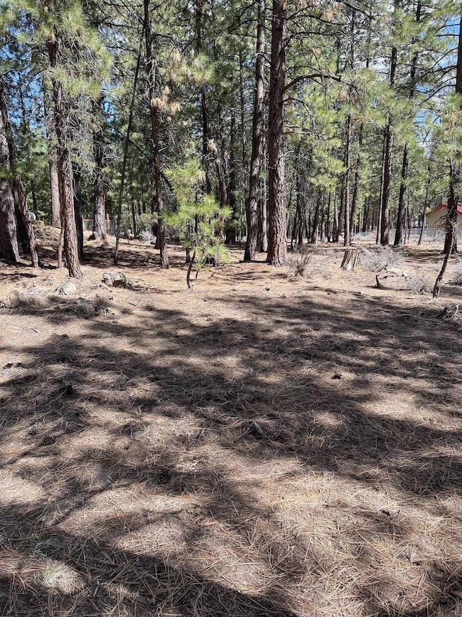 60130 Crater Rd, Bend, OR 97702 - photo 2