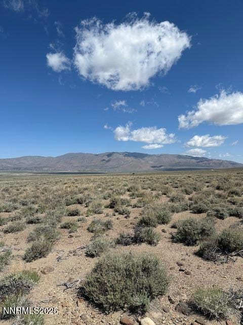 001 E Side Ln, Gardnerville, NV 89410 - photo 4