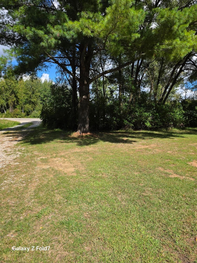 4539 W Saginaw Rd, Vassar, MI 48768 - photo 7