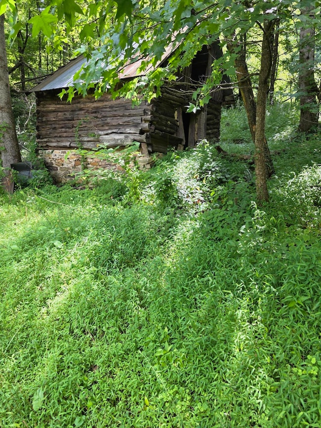 0 Buell Ln, Speedwell, TN 37870 - photo 3