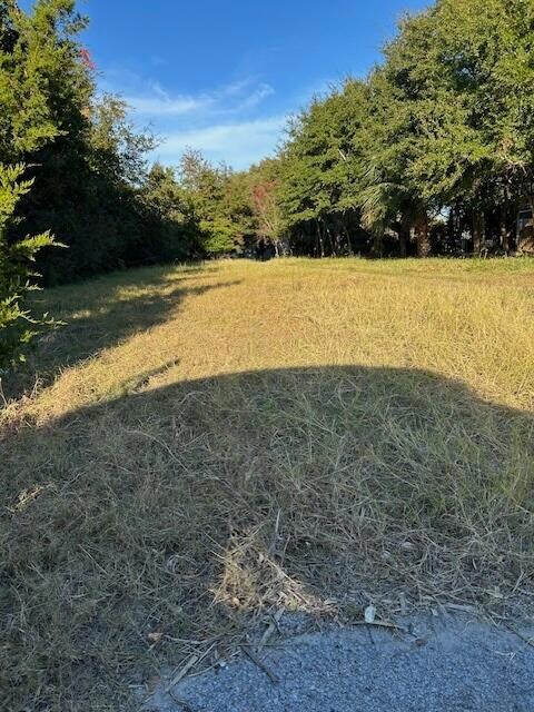 3113 Palmetto Blvd, Edisto Island, SC 29438 - photo 5