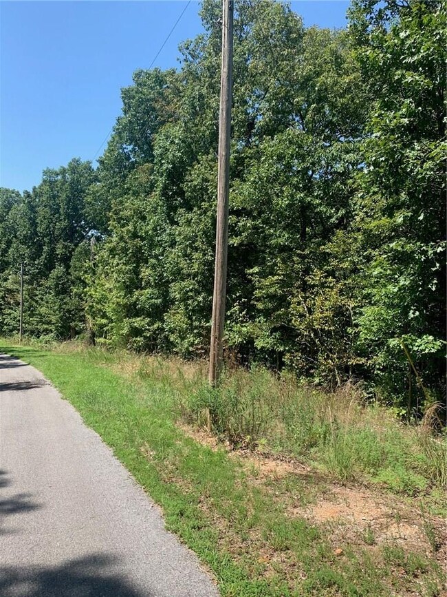 0 Pickering Dr unit 1157377, Bella Vista, AR 72714 - photo 3