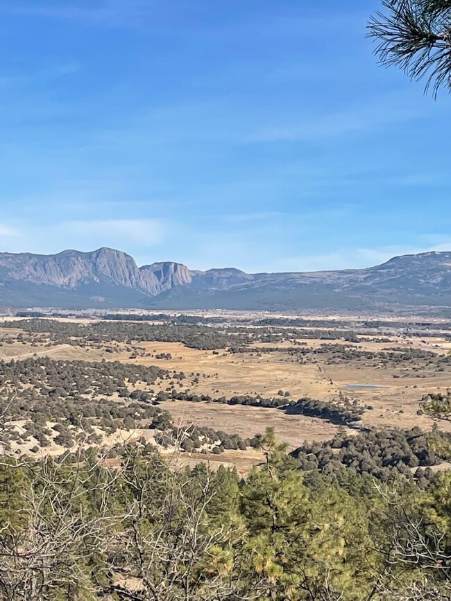 TBD Laguna Vista, Rutheron, NM 87575 | Homes.com