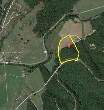 Lot 55