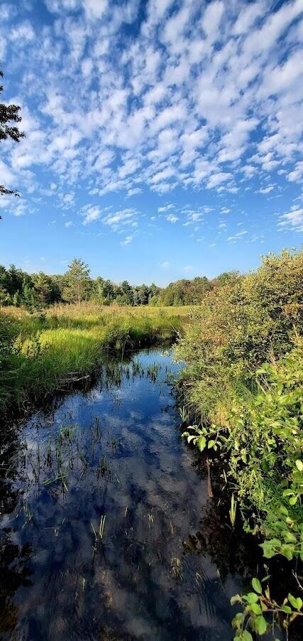 Flinton Creek