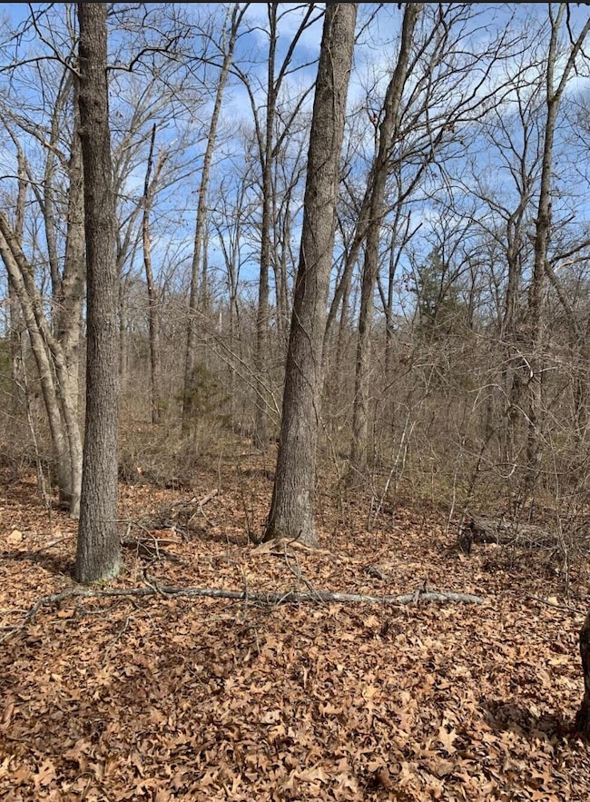 Tbd Tract 6 Sans Souci Dr, Shell Knob, MO 65747 - photo 2