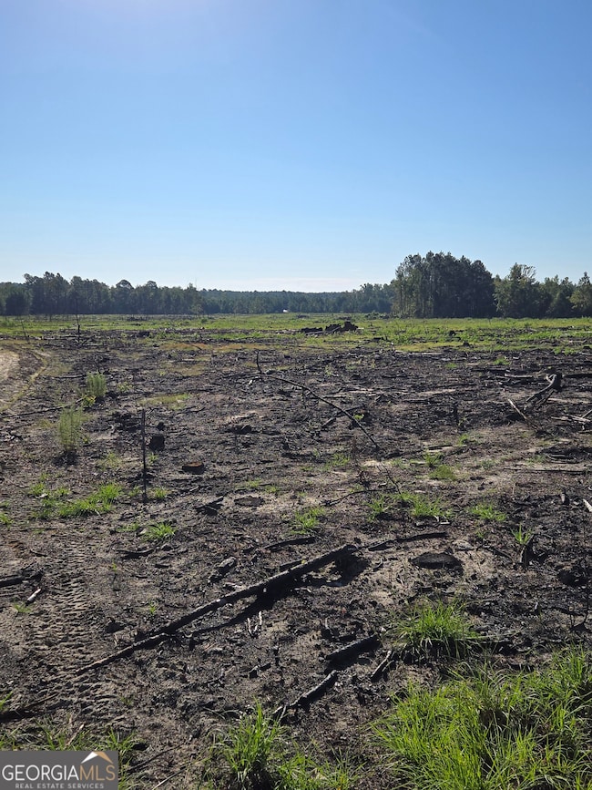 0 Alton Lawson Rd, Adrian, GA 31002 - photo 6