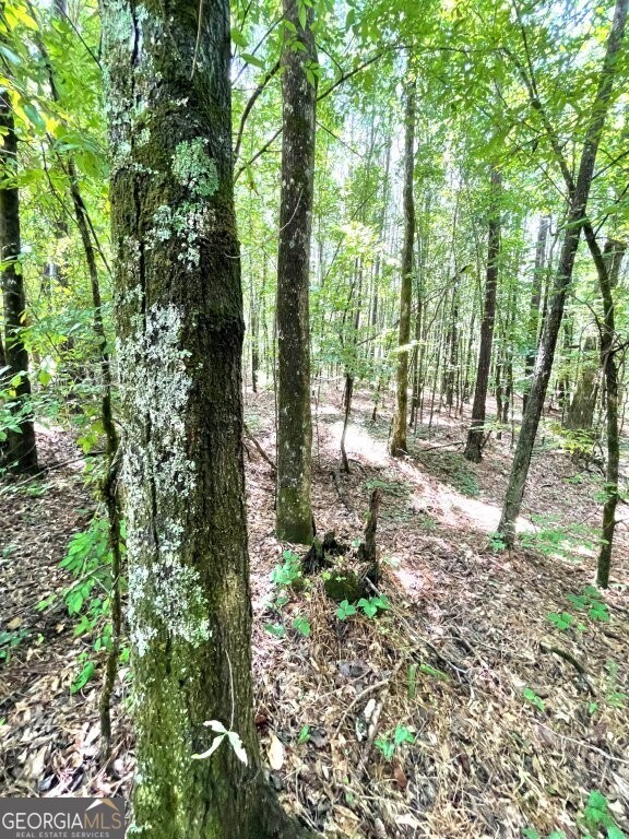 0 Georgia 22, Rayle, GA 30660 - photo 4