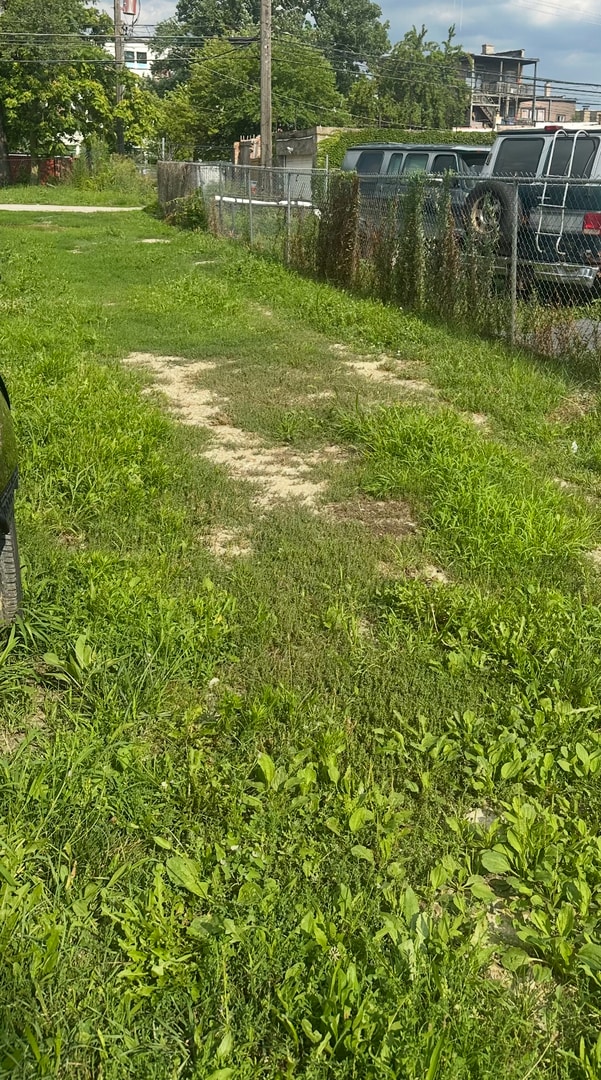 847 N Homan Ave, Chicago, IL 60651 - photo 2