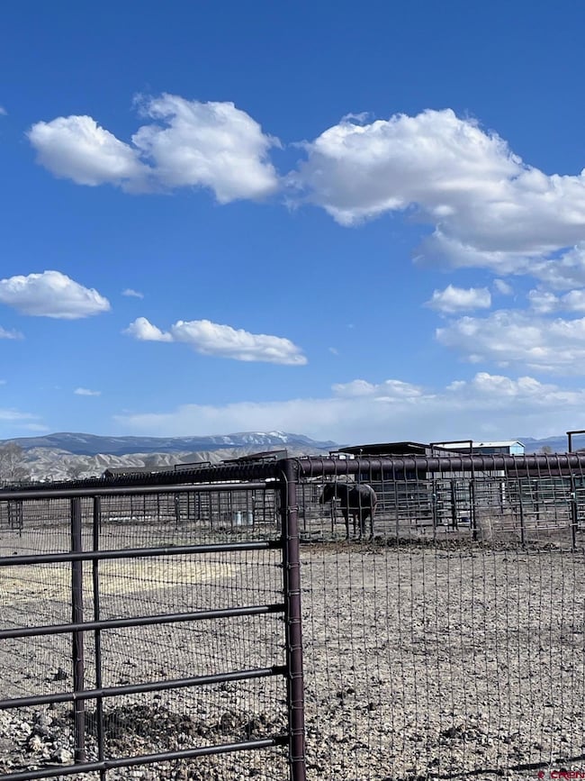 Horse Set-Up