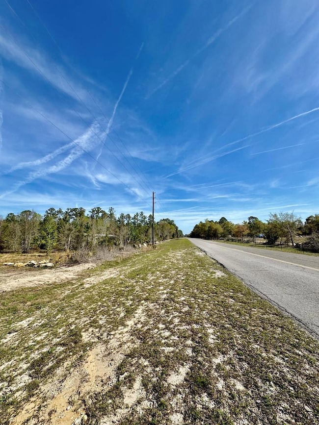 0 SW Highway 361, Steinhatchee, FL 32359 - photo 2