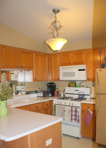 1012 Lincolnshire Ct unit C, Elgin, IL 60120 - photo 5