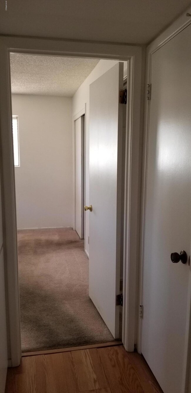 6066 E Dodge St, Mesa, AZ 85205 - photo 5