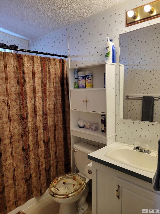 4810 Teal Ln, Winnemucca, NV 89445 - photo 7