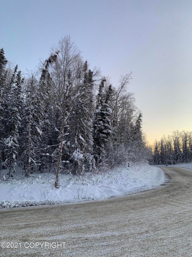 image00013