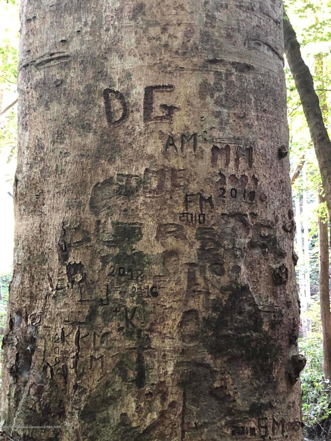 Family Tree