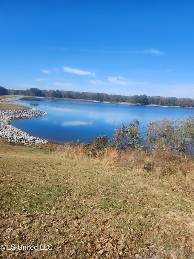 130 County Road 2156, Saltillo, MS 38866 - photo 5