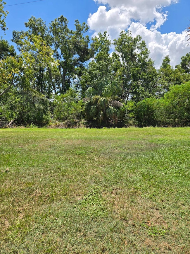 2001 83rd Ave N unit 4036, Saint Petersburg, FL 33702 - photo 6