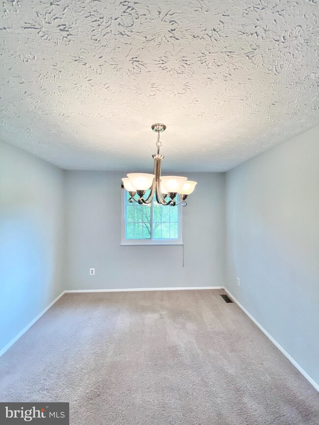 6808 Hutchison St, Falls Church, VA 22043 - photo 6