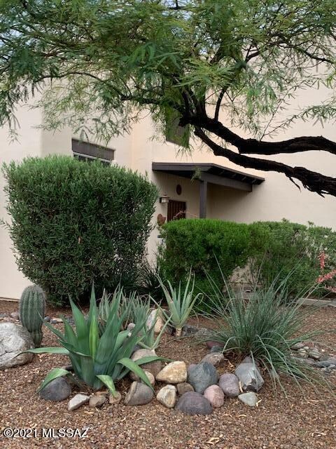Mature Landscapting In Fron Yard.