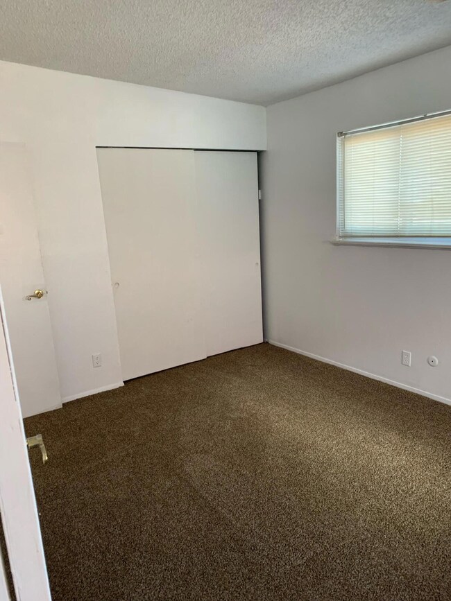 328 Mccarthy Ave, El Paso, TX 79915 - photo 4