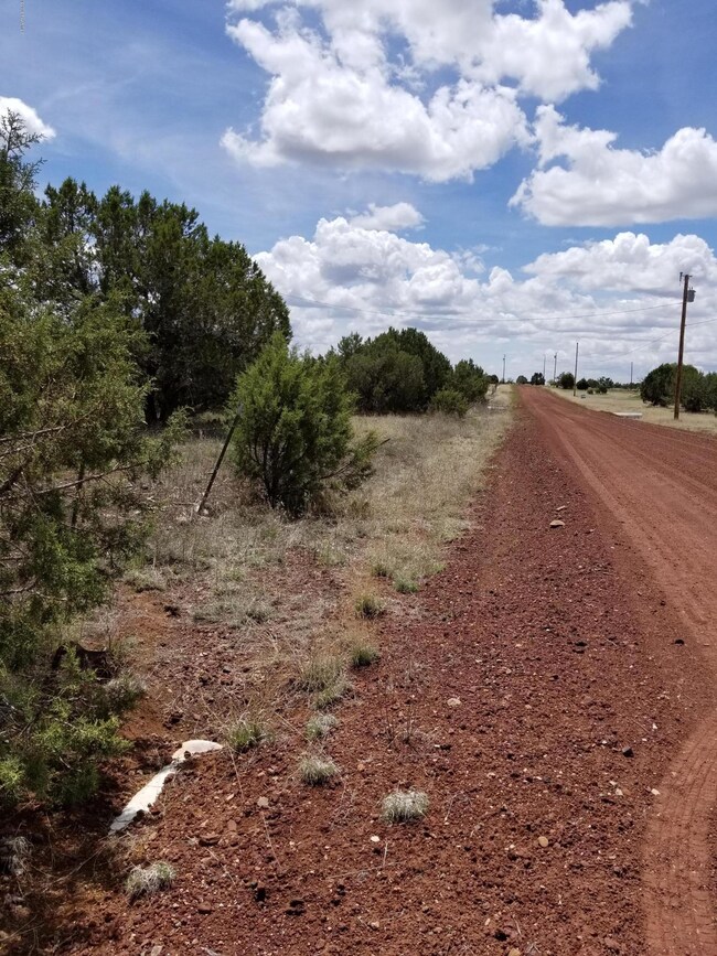 Road looking south