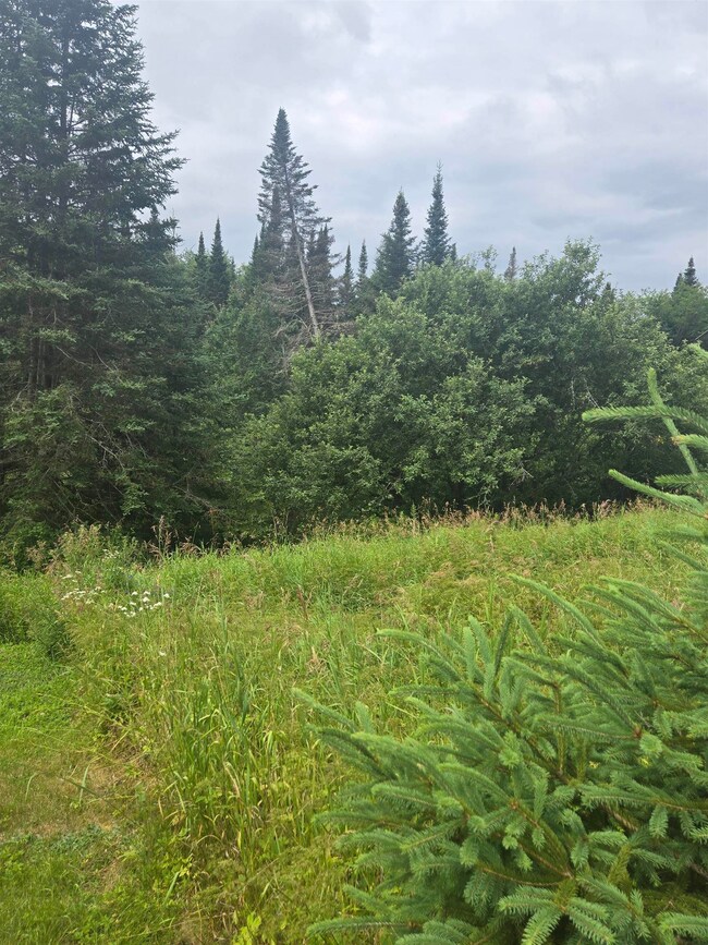 240 Hazen Rd, Whitefield, NH 03598 - photo 6