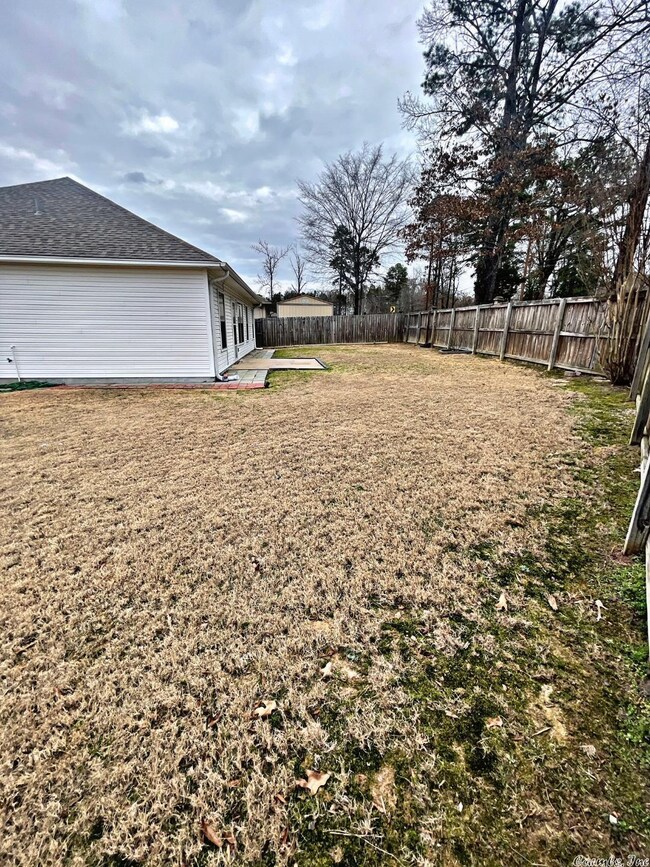 13824 Hickory Glen Dr, Alexander, AR 72002 - photo 4