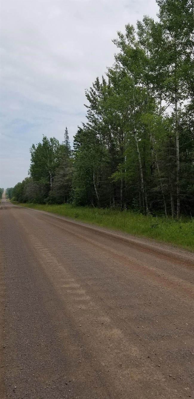 View of dirt / gravel road with a view of trees