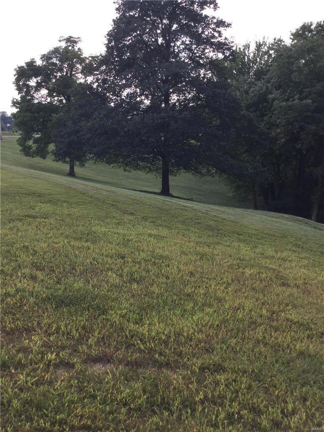 7 Brookewood Dr, Caseyville, IL 62232 - photo 3