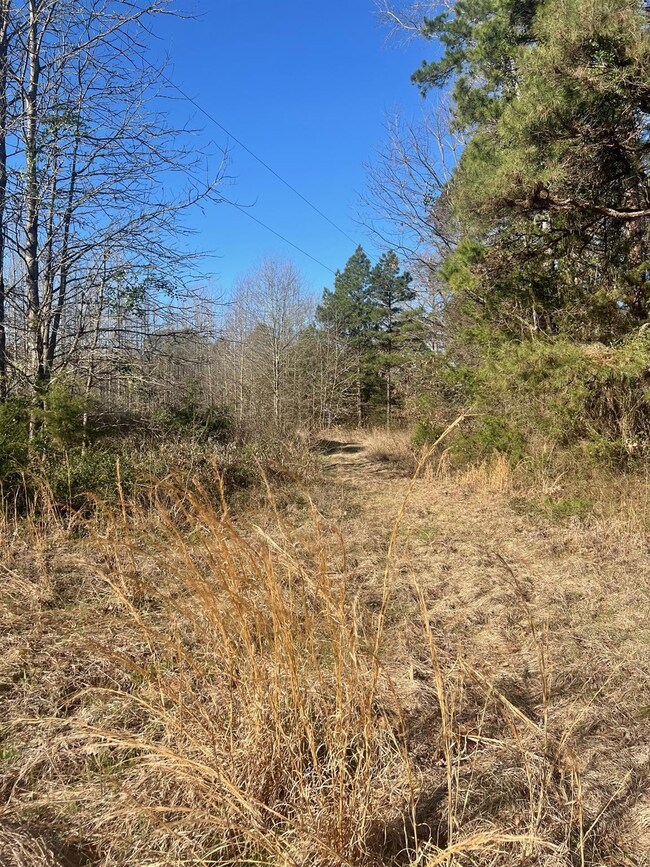 View of local wilderness