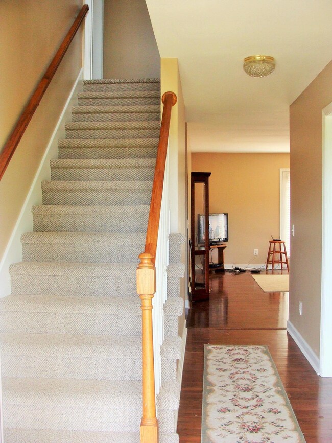 7916 Wolftever Dr, Ooltewah, TN 37363 - photo 5