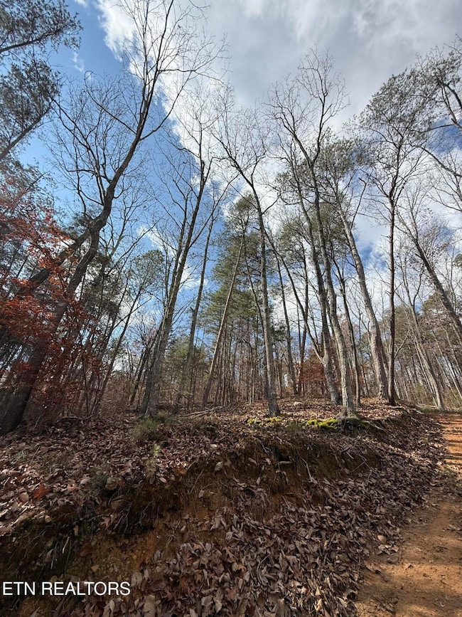 Lot 1 Parksville Rd, Benton, TN 37307 - photo 2