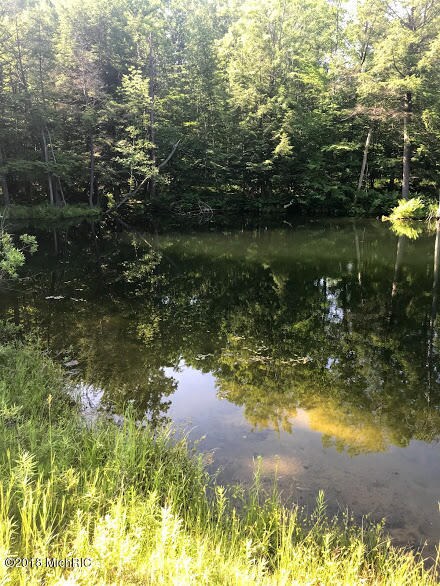 0 E 72nd St, Chase, MI 49623 - photo 5