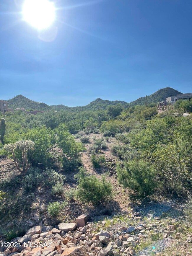 3167 W Sparkling Starr Dr unit 61, Tucson, AZ 85745 - photo 3