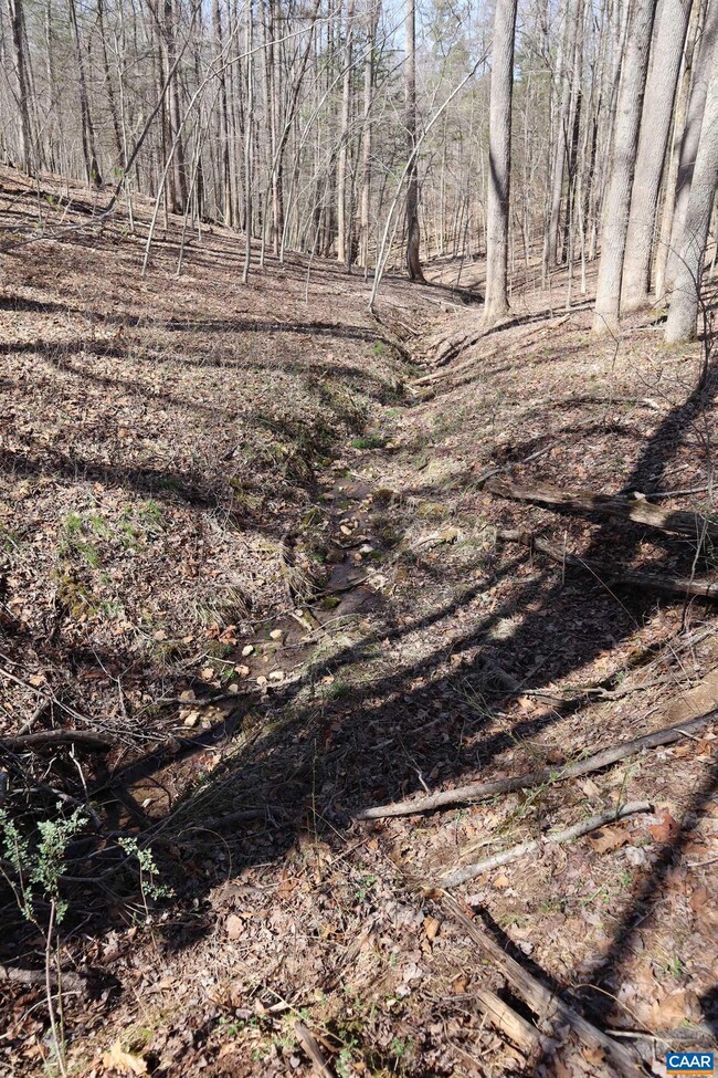 Lot 53 Hemlock Creek Ct, White Hall, VA 22936 - photo 4